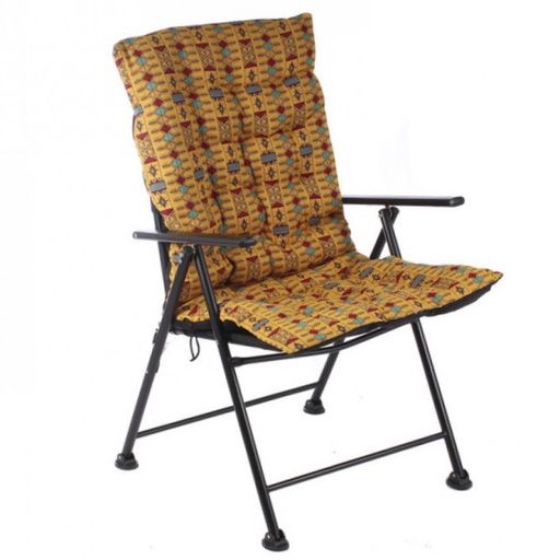 Foldable Beach & Camping Chair