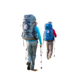 Bags & Backpacks / Backpac